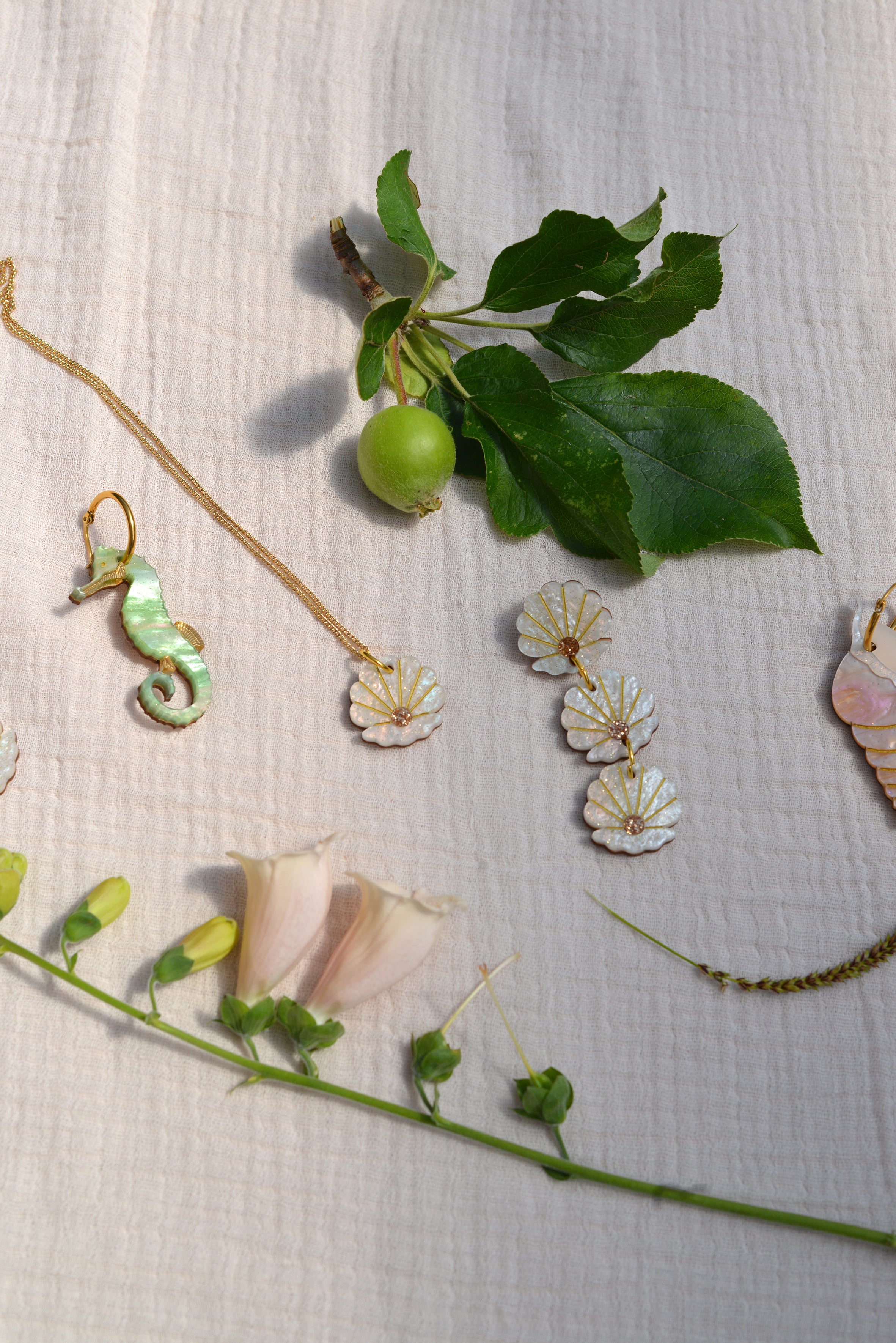 Collier de palourdes